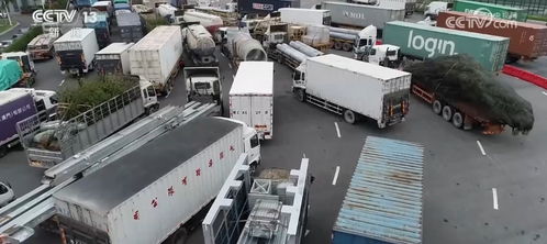 車暢人旺，港珠澳大橋經貿通道正崛起